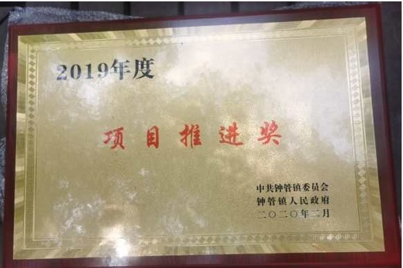 蜂鸟竞技获得多项政府奖励